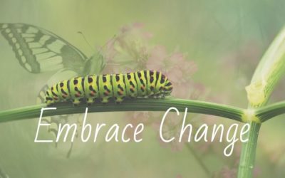 Change Is Inevitable – Why Not Embrace It!