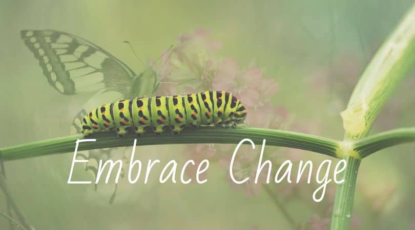 Change Is Inevitable – Why Not Embrace It!