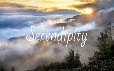 It All Started By Serendipity