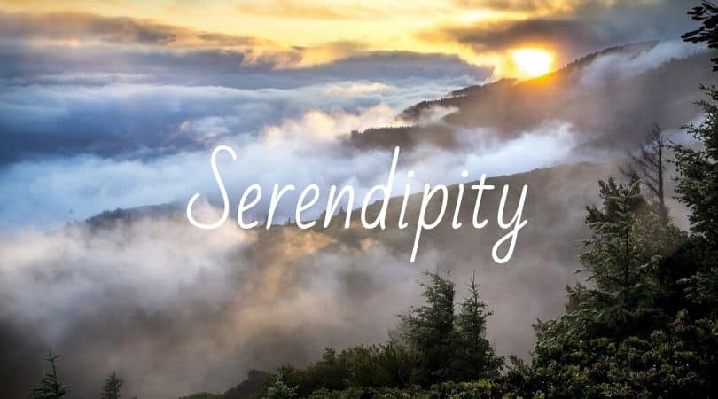 It All Started By Serendipity