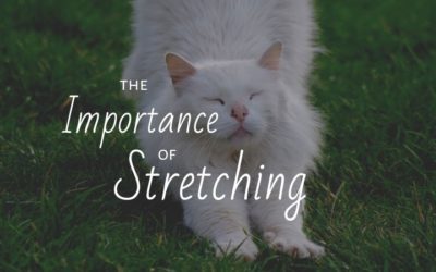 The Importance of Stretching