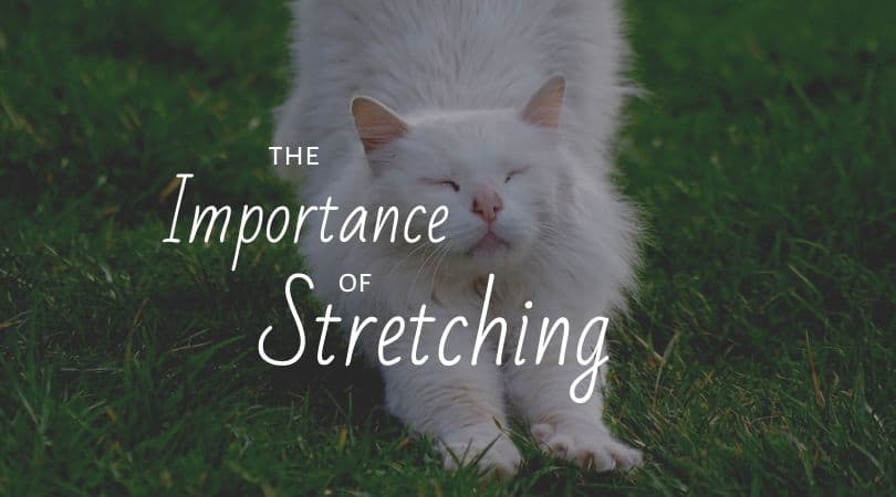 The Importance of Stretching