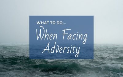 What To Do When Facing Adversity