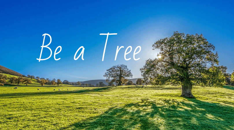 Learn From Nature