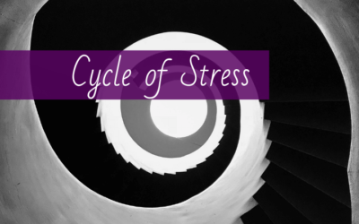 The Cycle of Stress