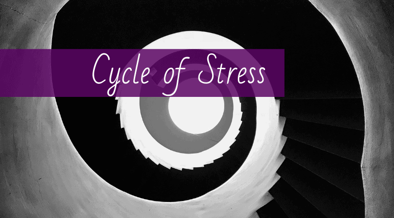 The Cycle of Stress