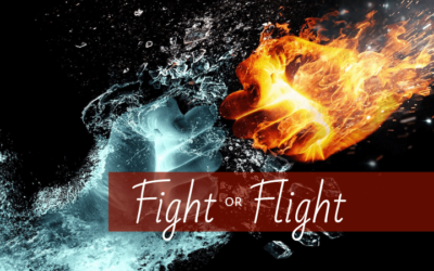 Fight or Flight – An Extreme Stress Reaction