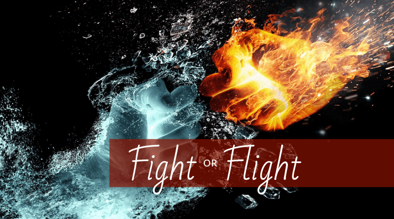 Fight or Flight – An Extreme Stress Reaction