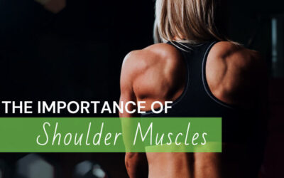 The Importance of Shoulder Muscles