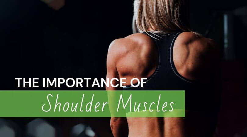 The Importance of Shoulder Muscles | Mindful Alignment with Linda